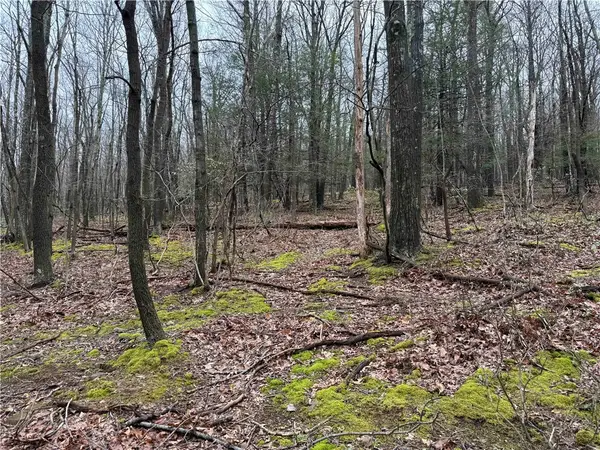 0 Club Rd, Berlin, PA 15530