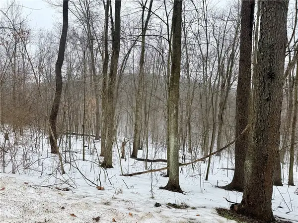 0 Cadogen Slatelick Road, Kittanning Twp, PA 16201