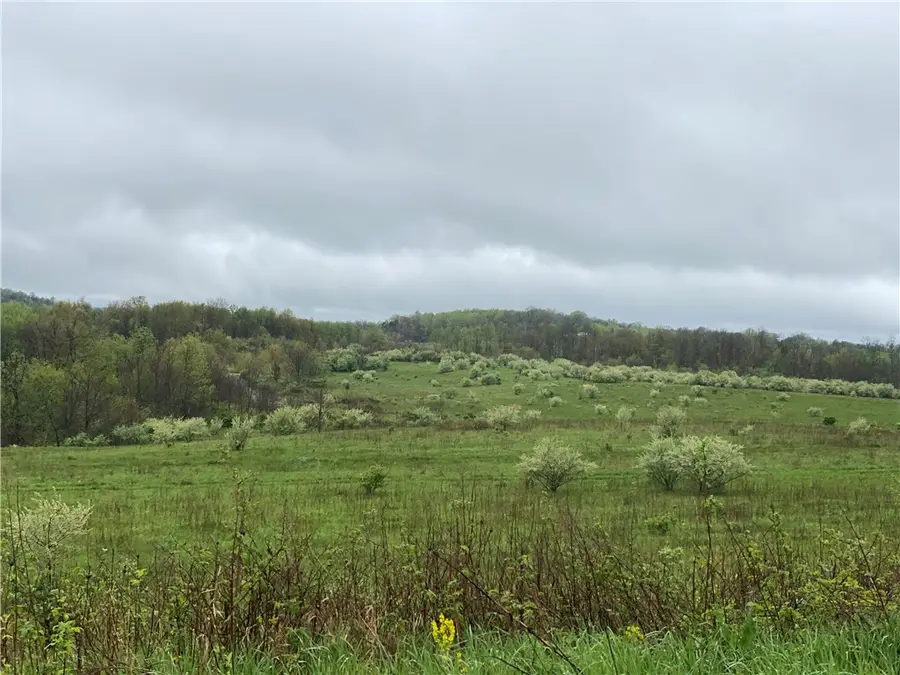 00 Decker's Point Road, Marion Center, PA 15759 - #2