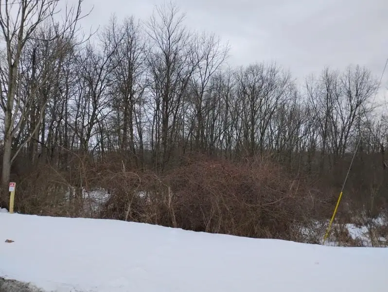 Lot 7 Mcauley Meadows Ln, Ford City, PA 16226 - #2