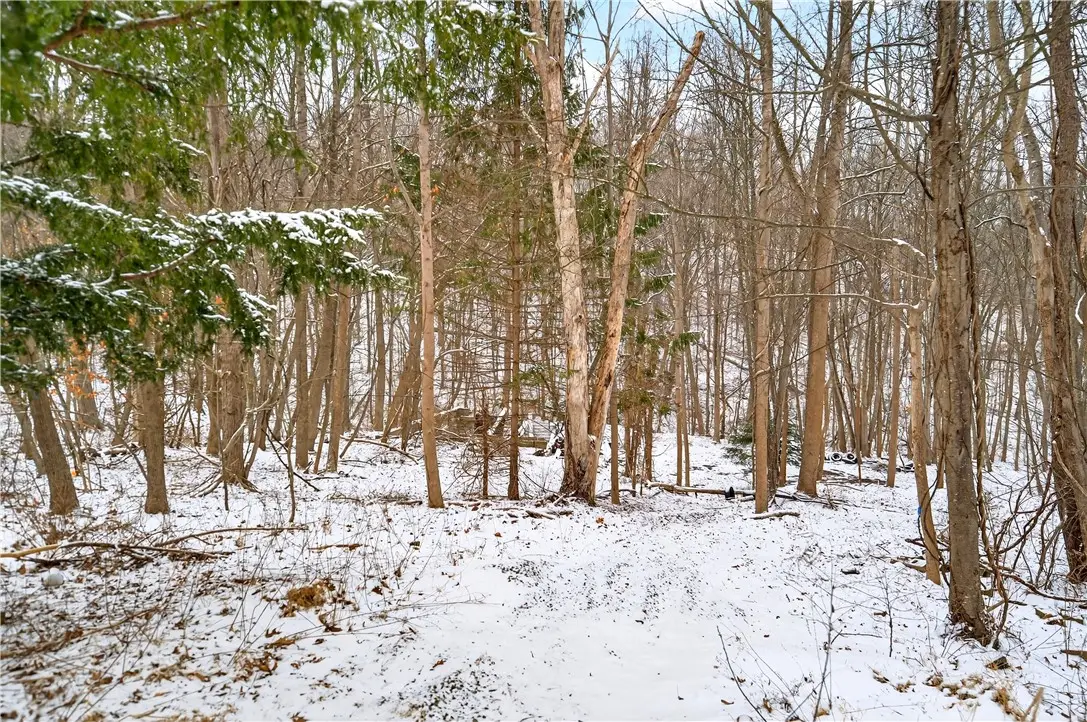 217 Klein Rd, Glenshaw, PA 15116 - #1