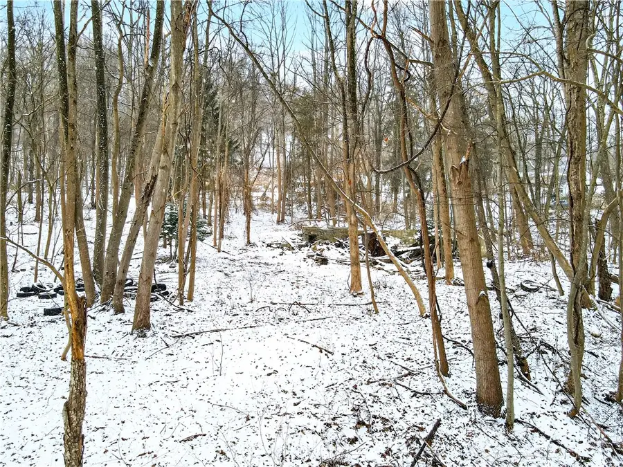 217 Klein Rd, Glenshaw, PA 15116 - #3