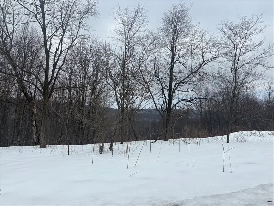 Lot 6 Sheets Rd, Champion, PA 15501 - #2