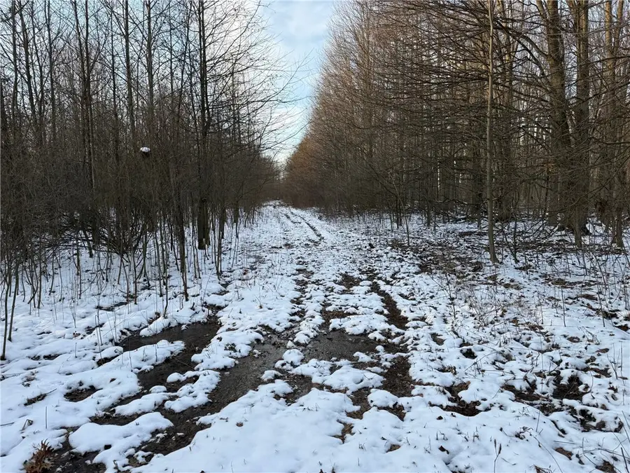 00 Borowicz Rd, New Wilmington, PA 16142 - #2