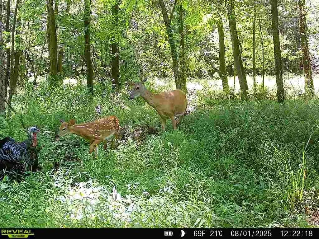 0 Sr 258, Grove City, PA 16127 - #1