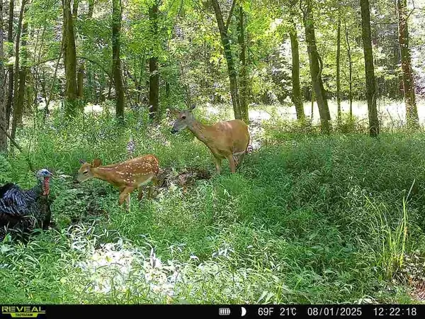 0 Sr 258, Grove City, PA 16127