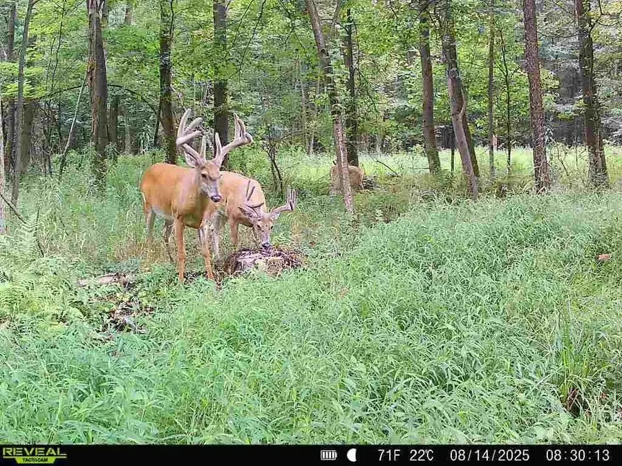 0 Sr 258, Grove City, PA 16127 - #2