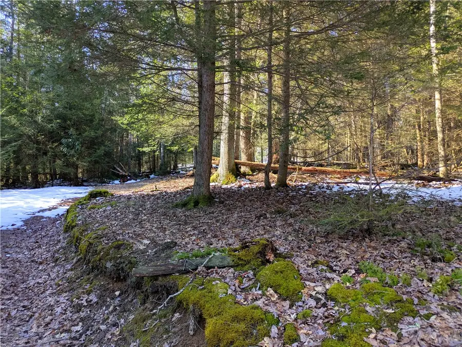 160 Mill Run School Rd, Farmington, PA 15437 - #2