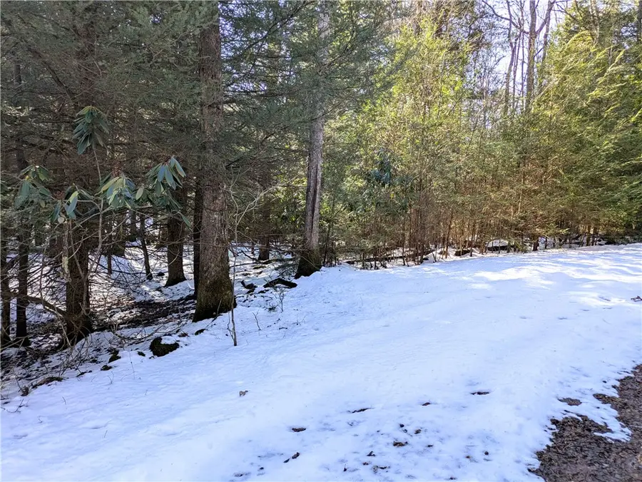 160 Mill Run School Rd, Farmington, PA 15437 - #3