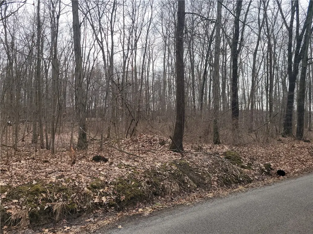 486 Clintonville Rd, Mercer, PA 16137 - #1