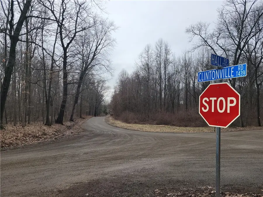 486 Clintonville Rd, Mercer, PA 16137 - #3