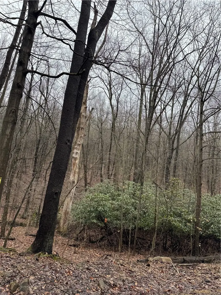 0 Spruce Hollow Road, Connellsville, PA 15425 - #1