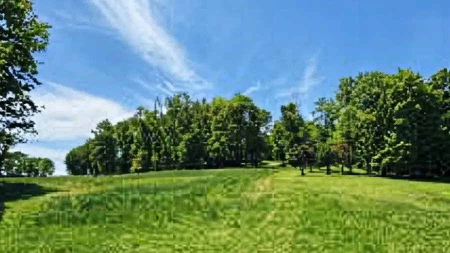 832b W Of Seven Hills Rd, Chicora, PA 16025 - #2