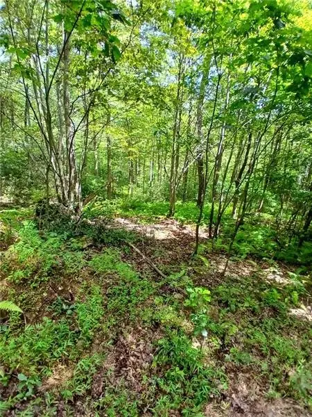 702 Shepherd Rd, Farmington, PA 15437 - #3