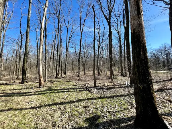 13 14 15 16 Laurel Summit Rd., Boswell, PA 15531