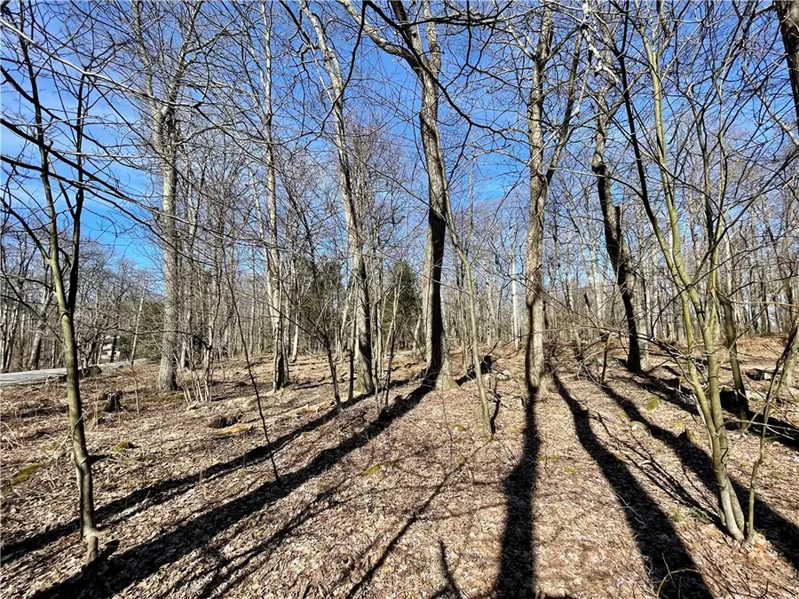 13 14 15 16 Laurel Summit Rd., Boswell, PA 15531 - #3