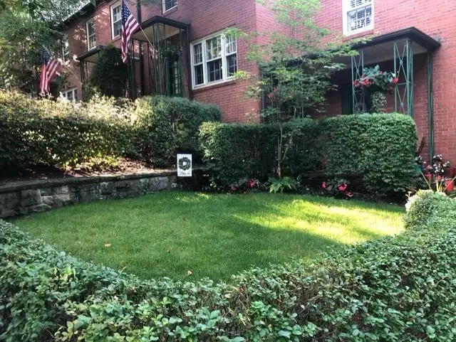 401 Olympia Road, Pittsburgh, PA 15211 - #2