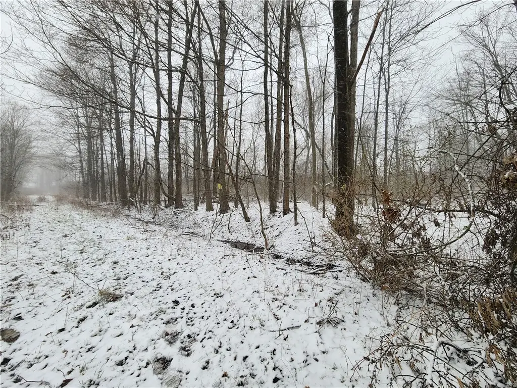 43068 Township Rd, Clarks Mills, PA 16114 - #1