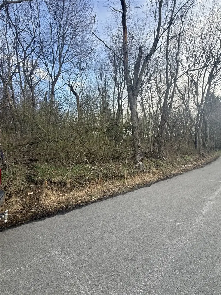 0 Main St, Lemont Furnace, PA 15456 - #3