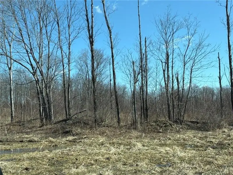 LOT Auction Ln, Seward, PA 15954 - #1