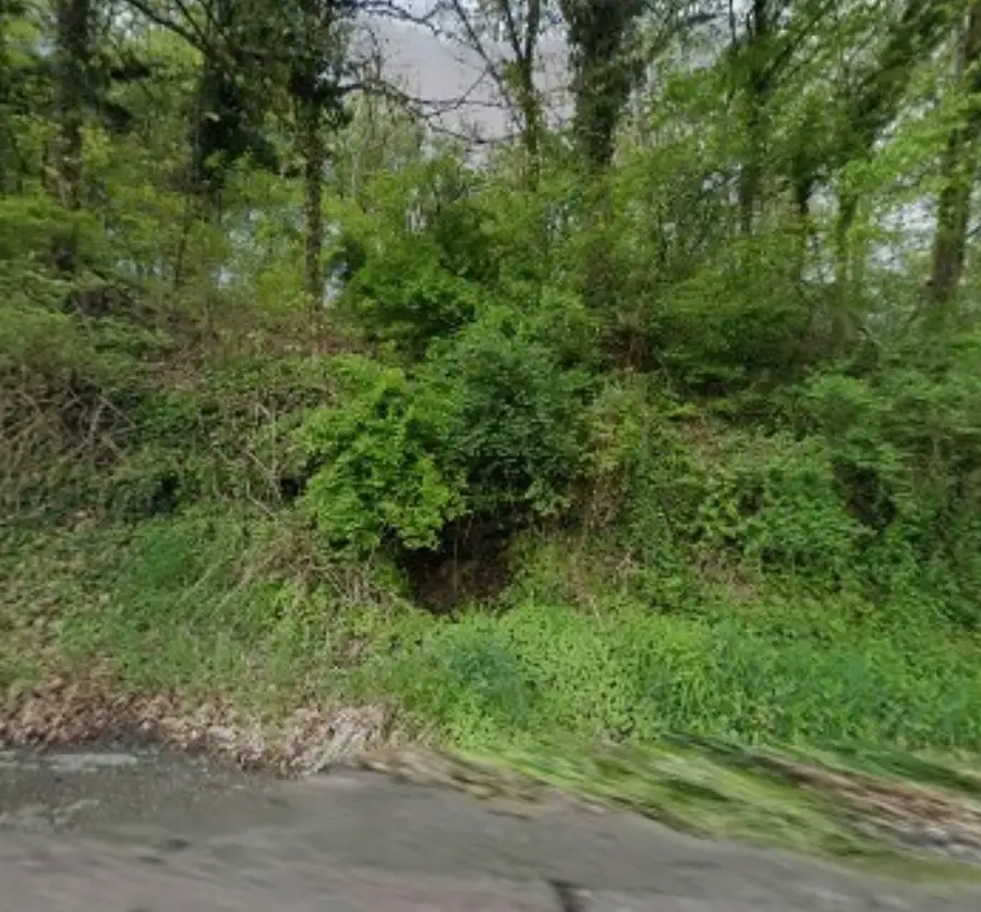 151 Beaver Grade Road, McKees Rocks, PA 15136 - #3