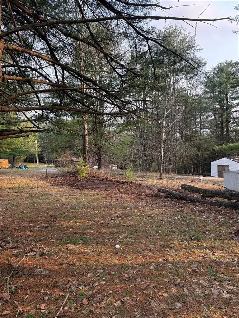 0 Casey Lane, Tionesta, PA 16353 - #2