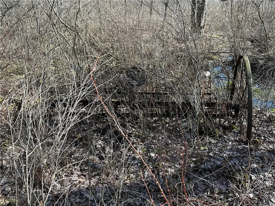 000 Lake Wilhelm Rd, Clarks Mills, PA 16114 - #3