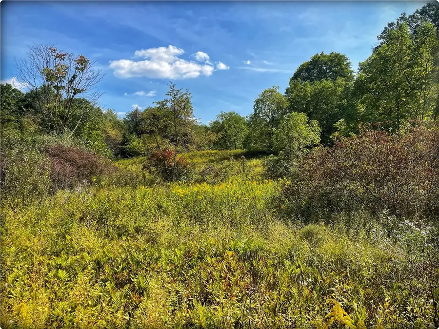 0 Rte 168, Darlington, PA 16115 - #2