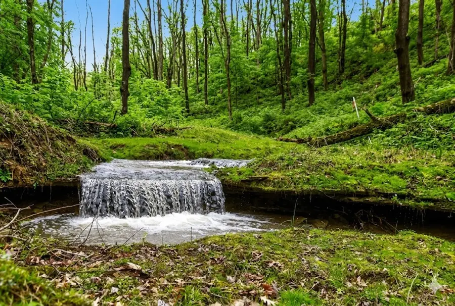 395 Mcguffey Rd, West Alexander, PA 15376 - #3