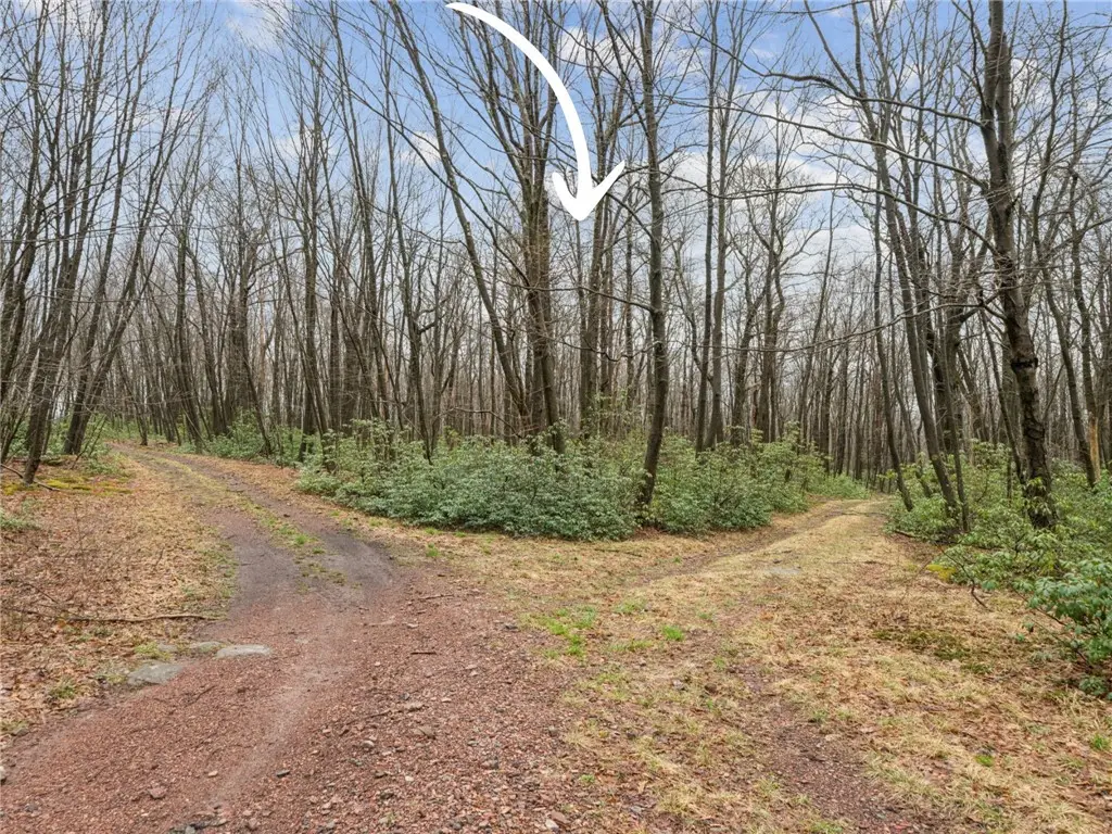 Lot 586 Zermatt Road, Jenners, PA 15546 - #1