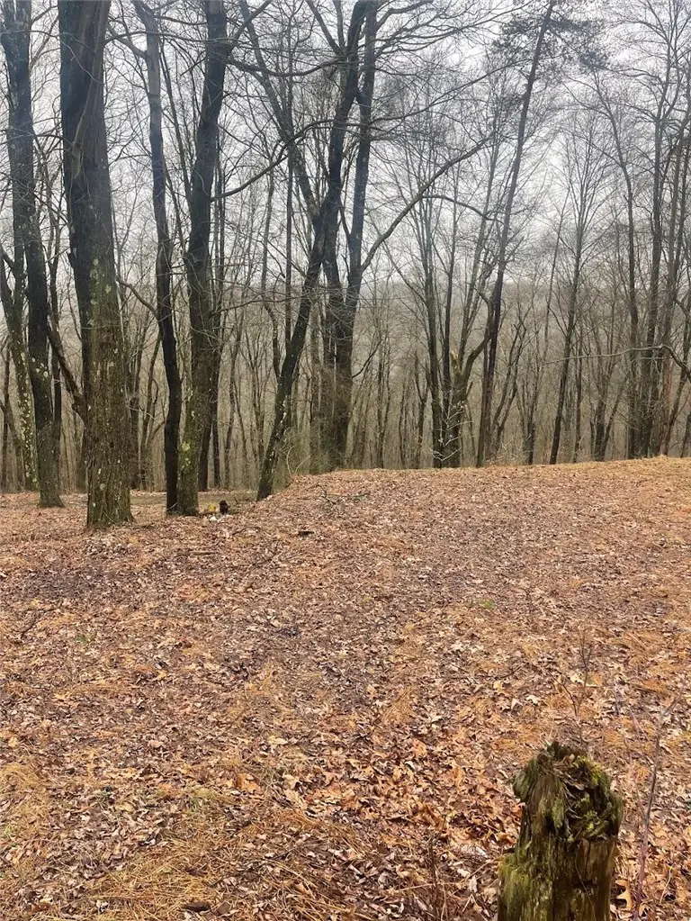 Lot 5 Blauser Lane, Petrolia, PA 16050 - #1
