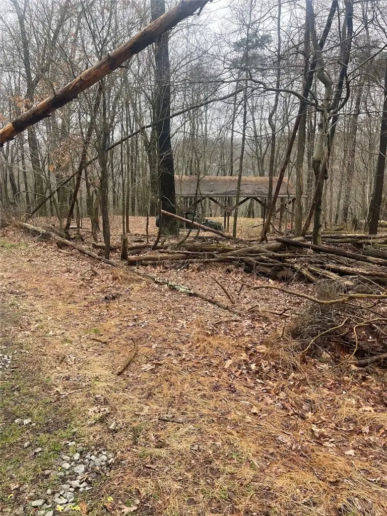 Lot 5 Blauser Lane, Petrolia, PA 16050 - #2