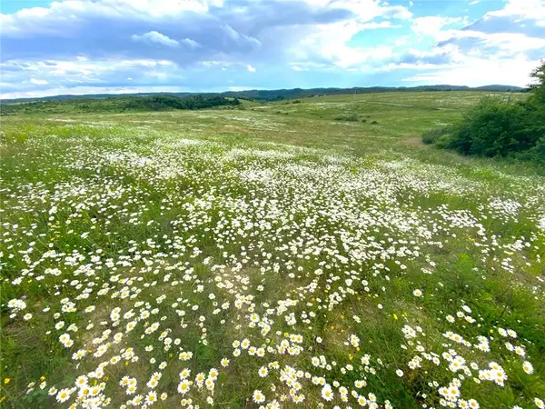 0 Cherry Church Run Rd, Sligo, PA 16255