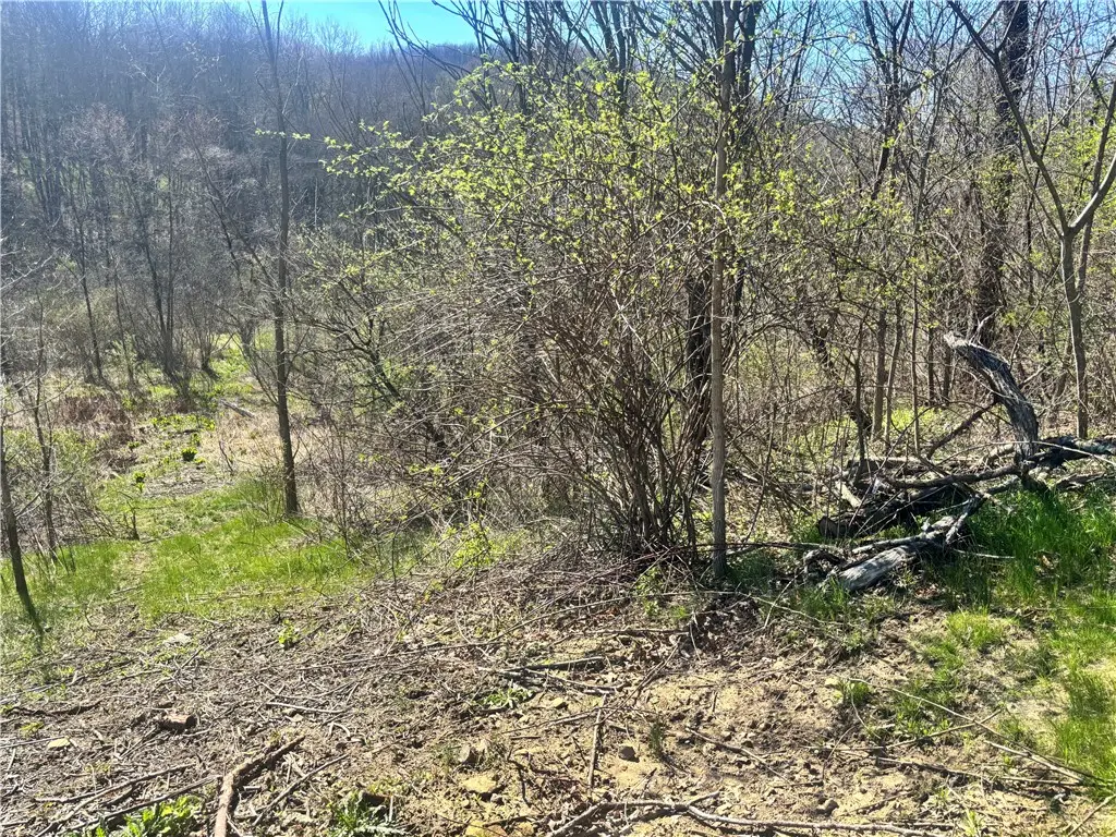 283 Mcclain Rd, Beaver Falls, PA 15010 - #1