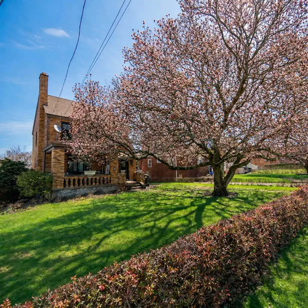 3048 Custer Ave, Pittsburgh, PA 15227 - #1