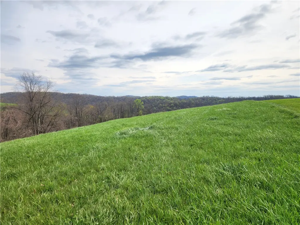 246 Haines Ridge Rd, Mount Morris, PA 15349 - #1