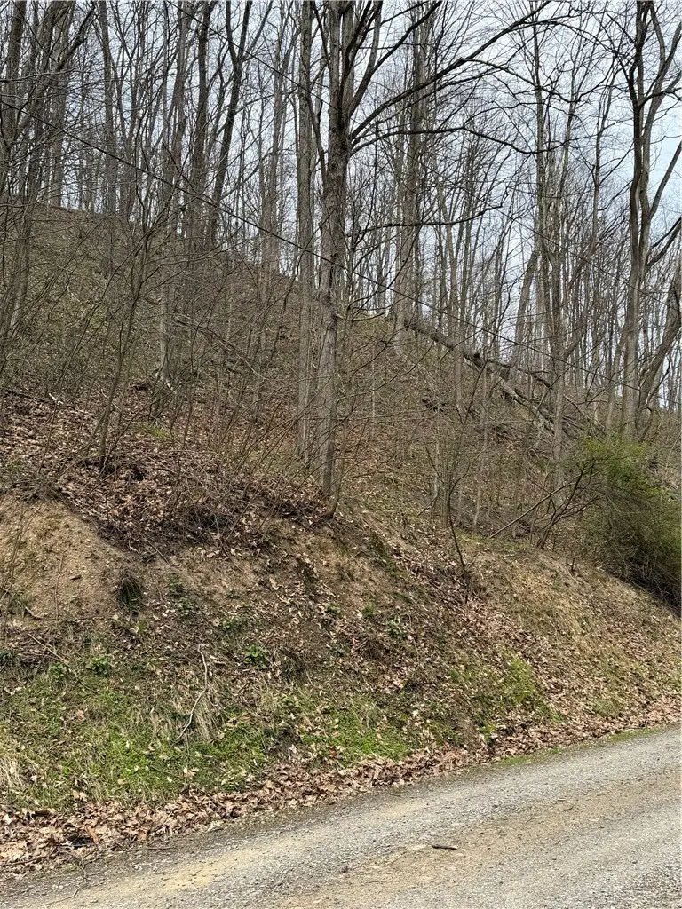 0 Coal Bank Hollow Rd, Ford City, PA 16226 - #1