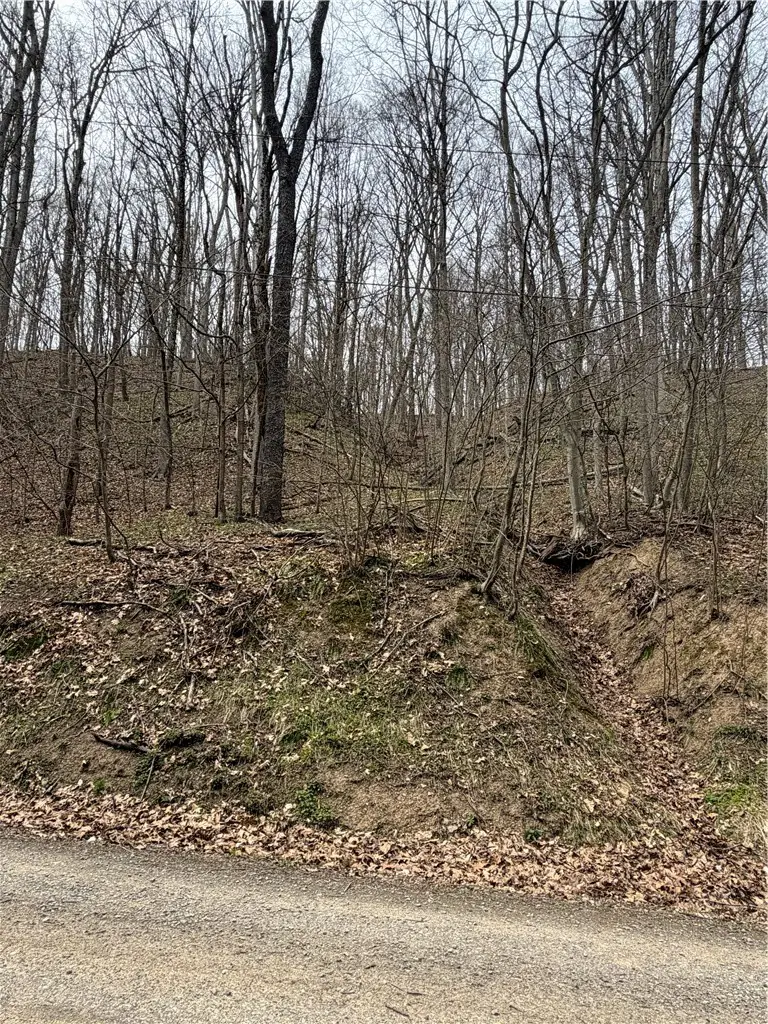 0 Coal Bank Hollow Rd, Ford City, PA 16226 - #2