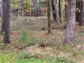 0 Country Club Road, Grove City, PA 16127 - #2