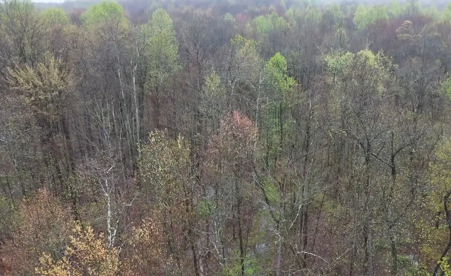 0 Countyline Rd, Salem, PA 16134 - #2