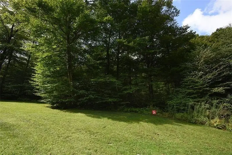 Lot # 31 Grouse Point, Champion, PA 15622 - #1