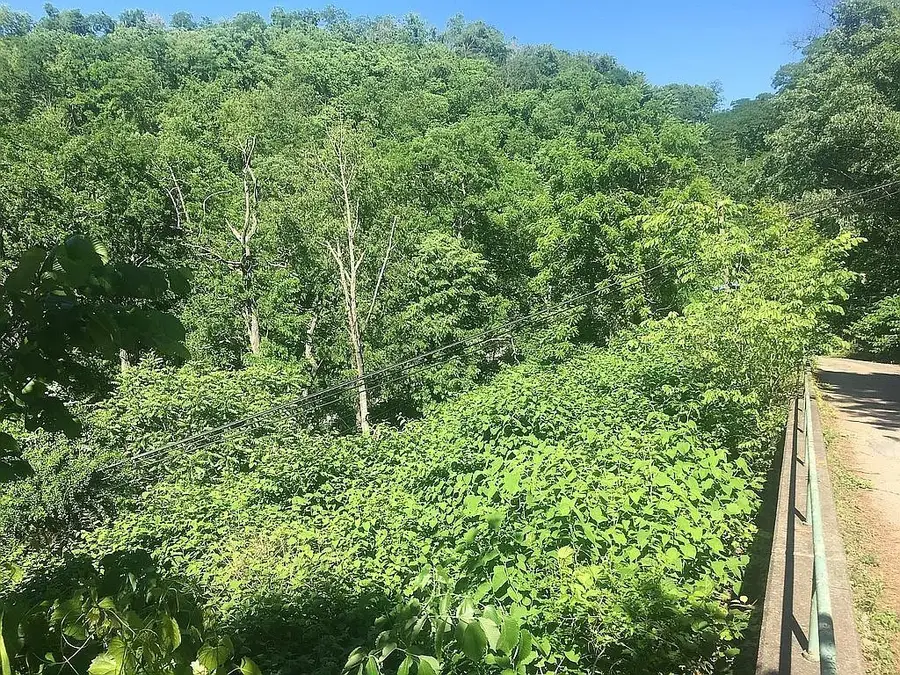 262 57th St, Pittsburgh, PA 15201 - #2