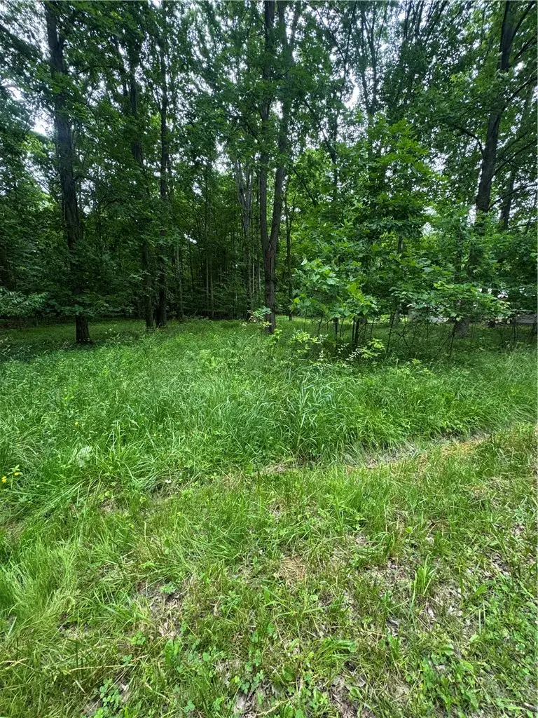 0 Trails End Rd, Pymatuning Central, PA 16424 - #3
