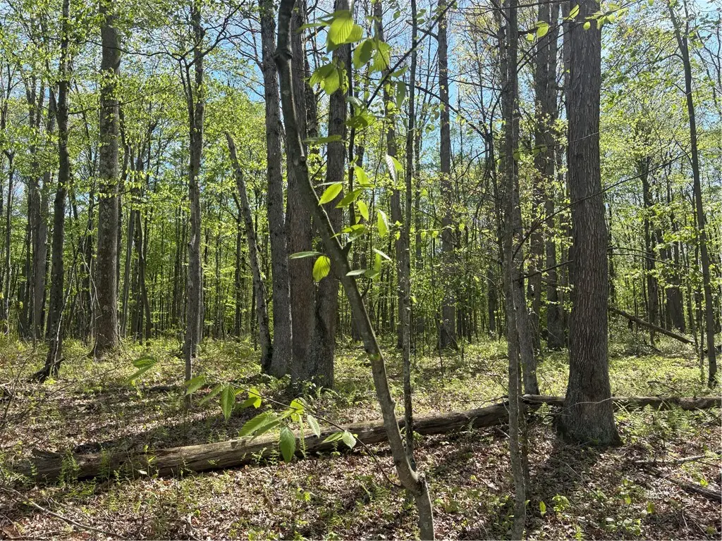 Lot 3 & 4 Killarney Road, Mill Run, PA 15464 - #1