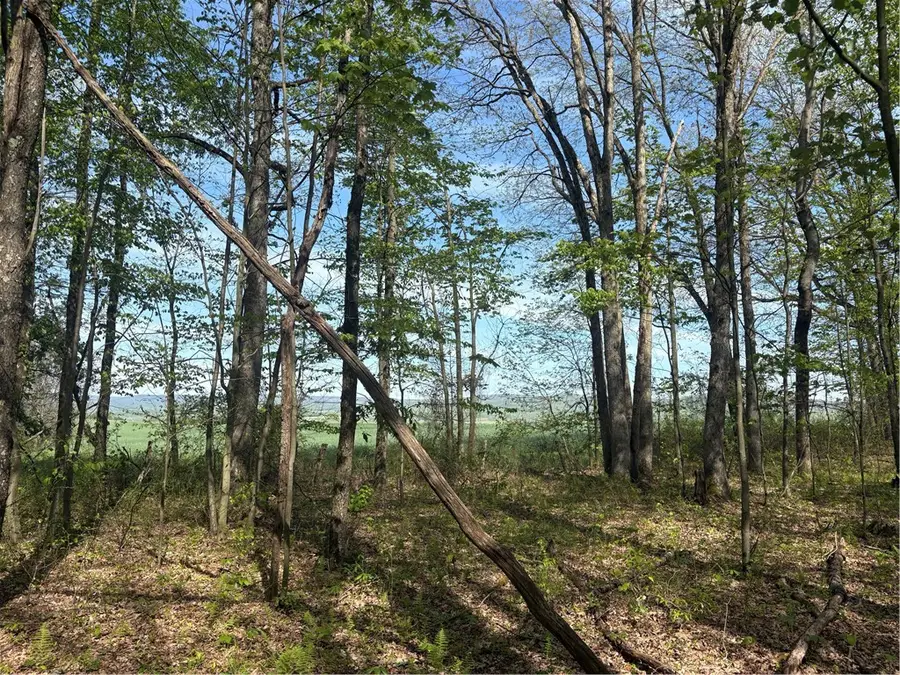 Lot 3 & 4 Killarney Road, Mill Run, PA 15464 - #2