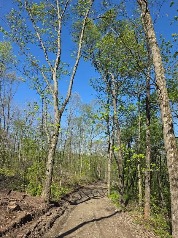 2210 Ramer Rd, Shelocta, PA 15774