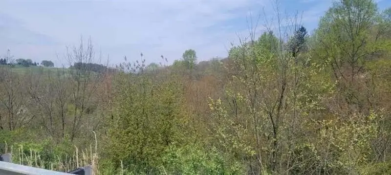 138 Beaver Run, Apollo, PA 15613 - #2