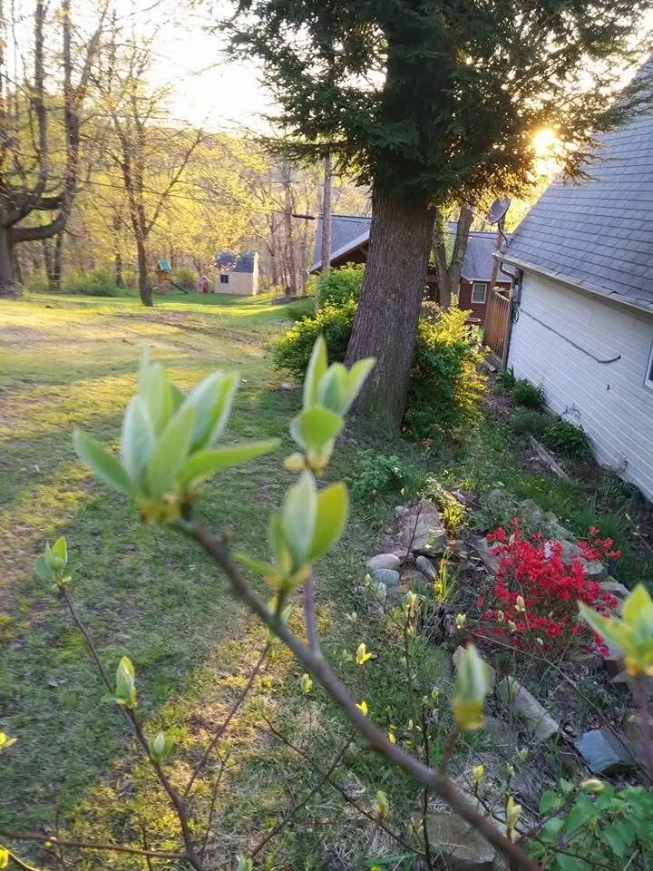 1112 Glenn Ave, Beaver Falls, PA 15010 - #2