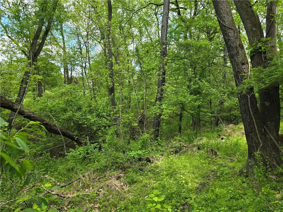 Lot 134 Brokers Lane, Irwin, PA 15642 - #2