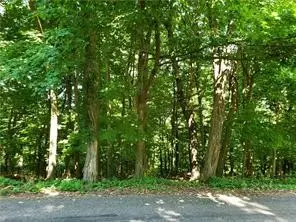 0 Shannon Road & Lynnbrook Drive, Penn Hills, PA 15147 - #1